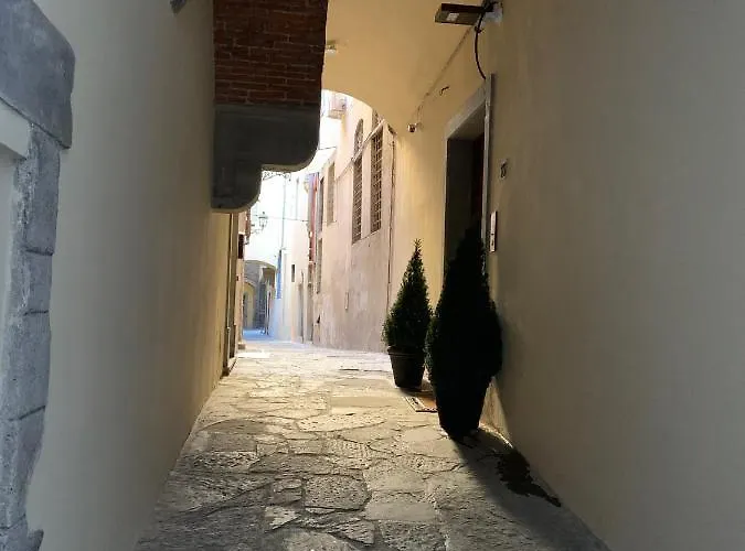 Signoria With Patio * Firenze